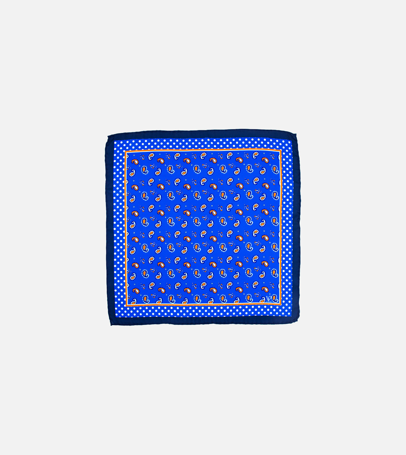 Indigo blue paisley print