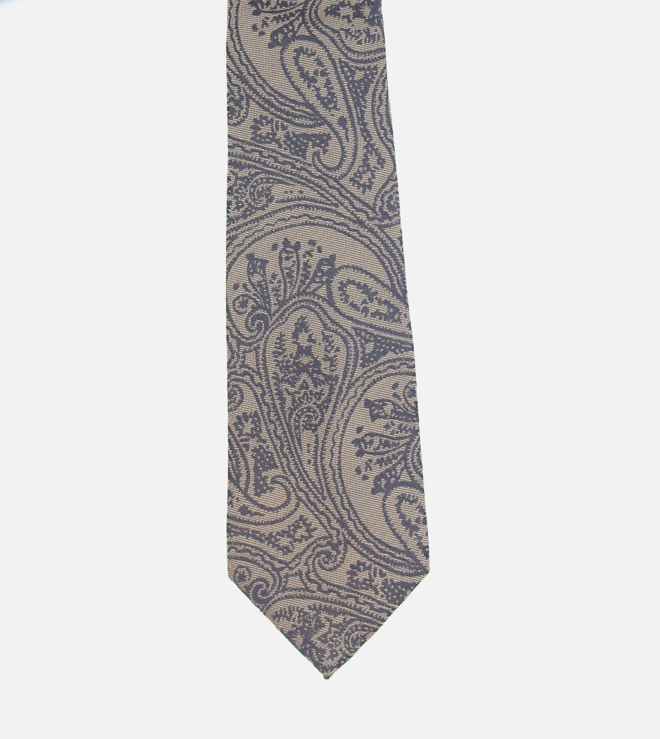 Beige and Blue Paisley Print