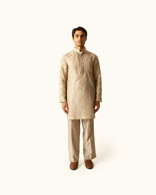 Champagne Embroidered Kurta Set in Silk Organza