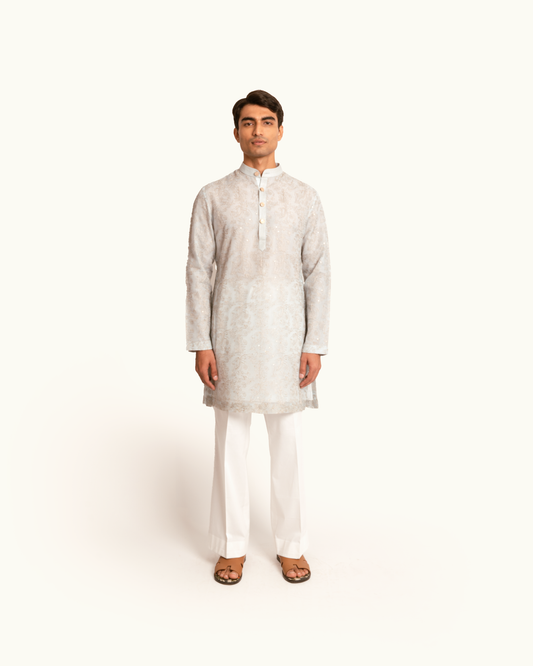 Blue Organza Elephant Motif Kurta Set