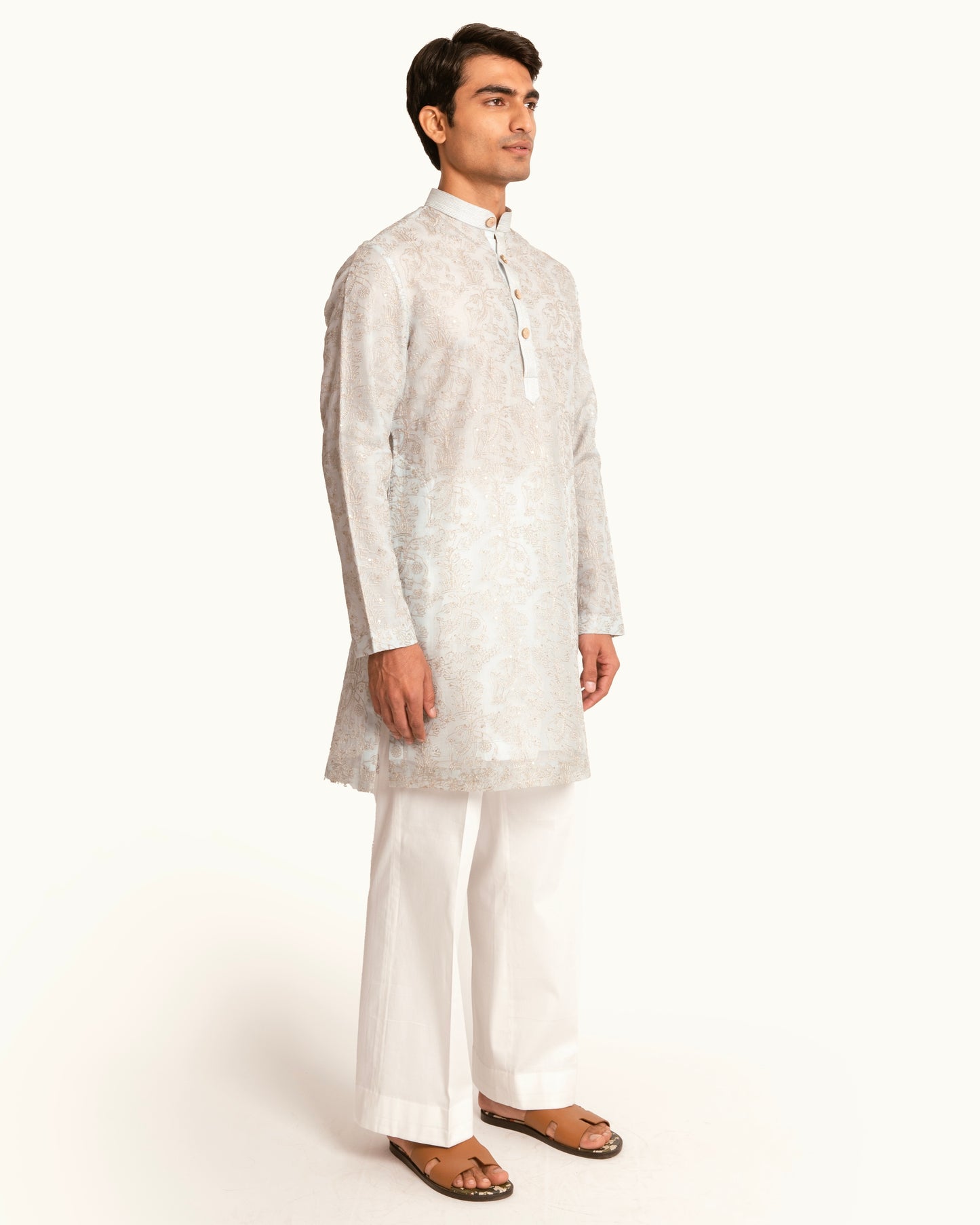 Blue Organza Elephant Motif Kurta Set