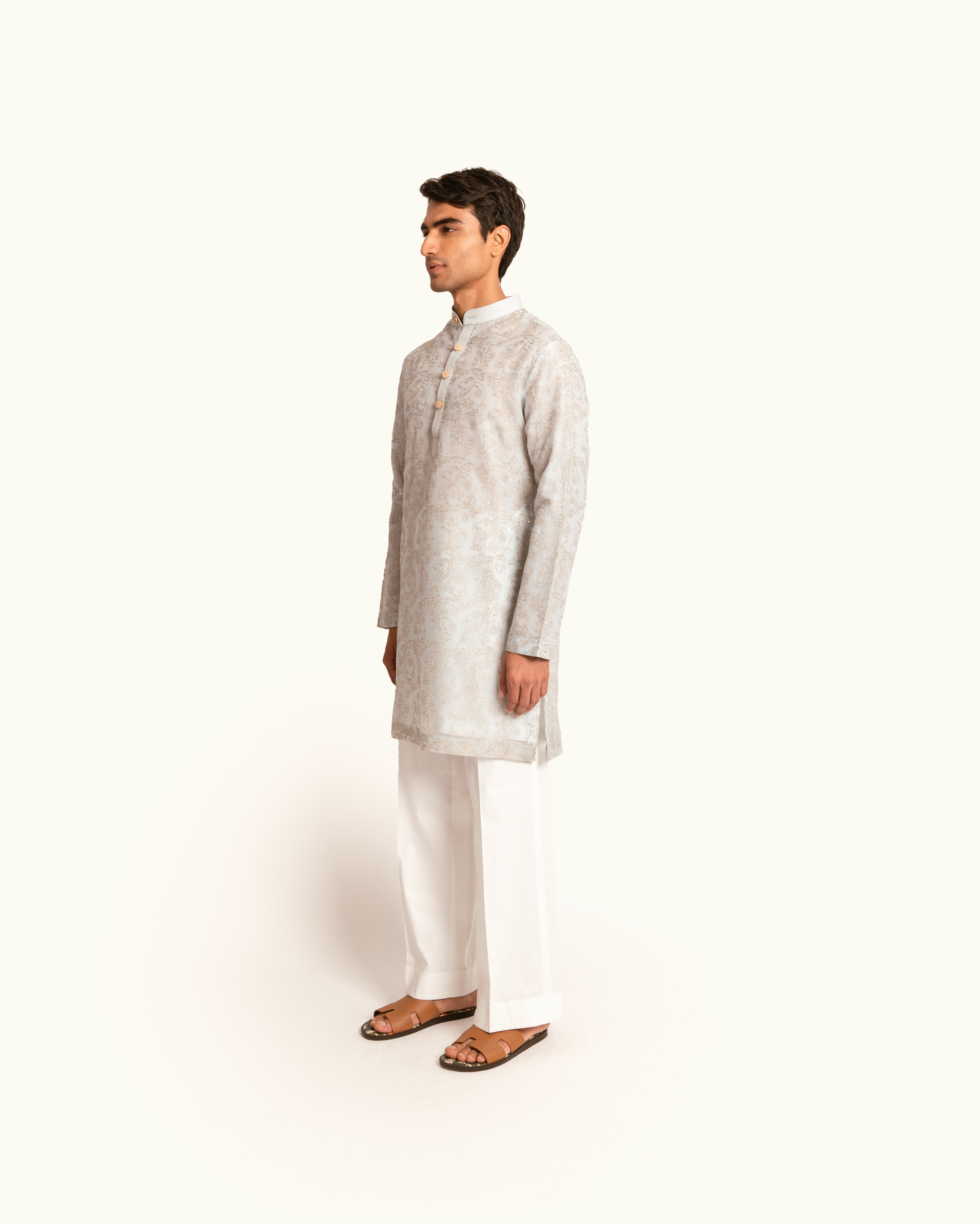 Blue Organza Elephant Motif Kurta Set