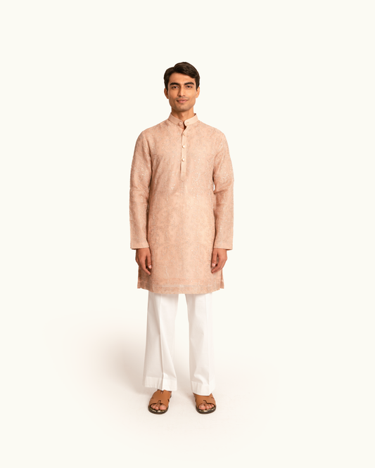 Peach Organza Elephant Motif Kurta Set